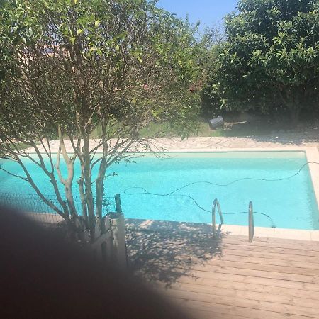 Agreable Chambre Du Rucher Natur'Aile Montagnac  Exterior photo