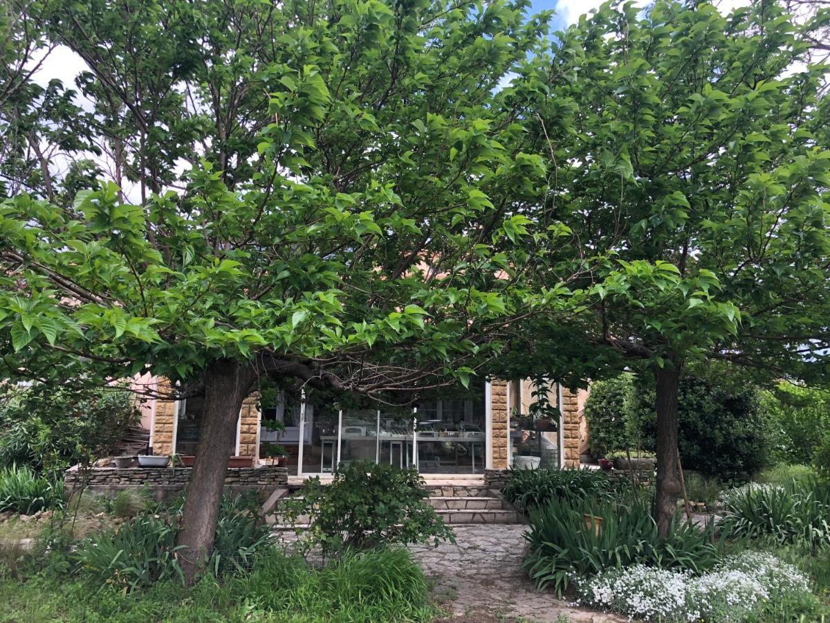 Agreable Chambre Du Rucher Natur'Aile Montagnac  Exterior photo